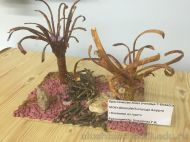 IMG_1817