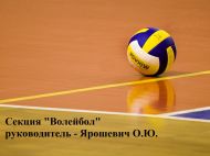 Voleybol